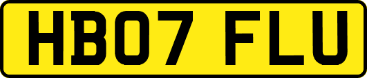 HB07FLU