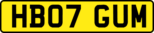 HB07GUM