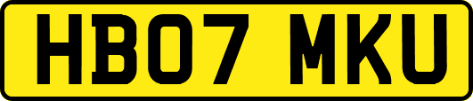 HB07MKU