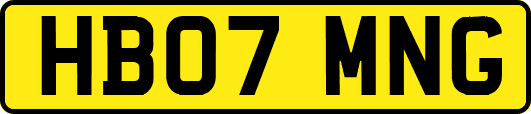 HB07MNG