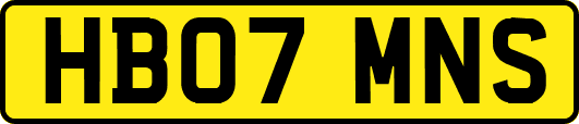 HB07MNS