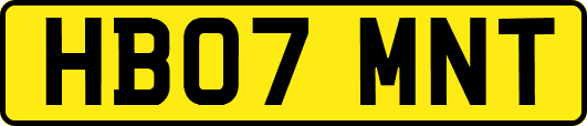 HB07MNT