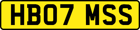 HB07MSS