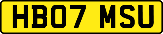 HB07MSU