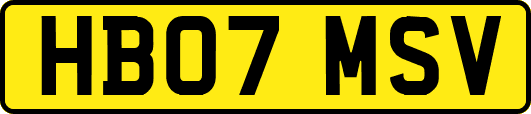 HB07MSV