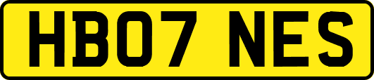 HB07NES