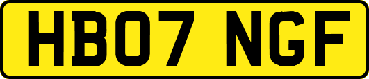 HB07NGF