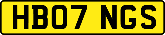HB07NGS