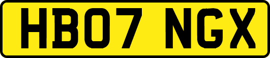 HB07NGX
