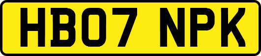 HB07NPK
