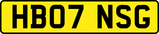 HB07NSG