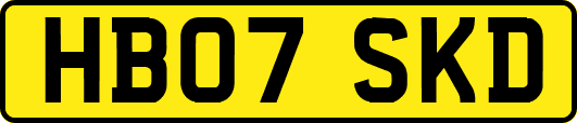 HB07SKD