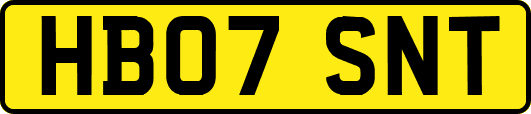 HB07SNT
