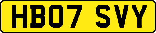 HB07SVY
