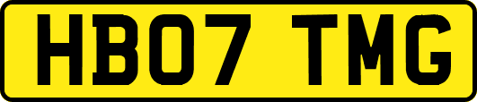 HB07TMG