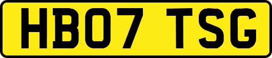 HB07TSG