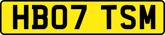 HB07TSM