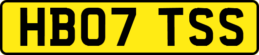 HB07TSS