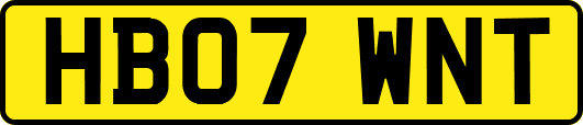 HB07WNT