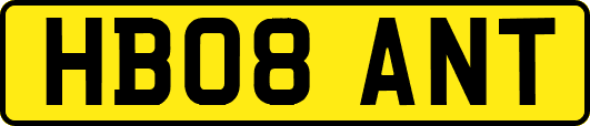 HB08ANT