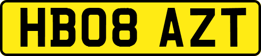 HB08AZT