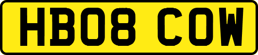 HB08COW