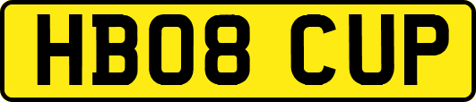 HB08CUP