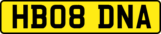 HB08DNA