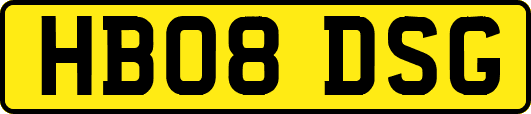 HB08DSG