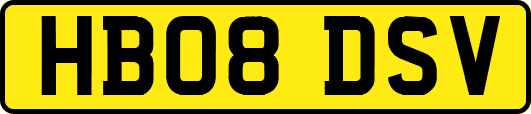 HB08DSV