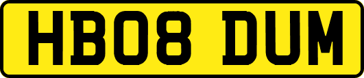 HB08DUM