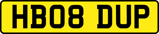 HB08DUP