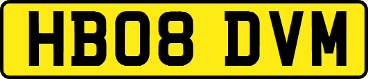HB08DVM