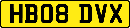 HB08DVX