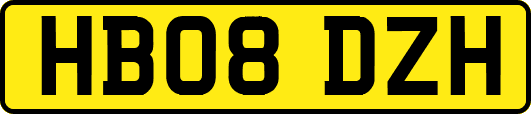 HB08DZH