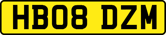 HB08DZM