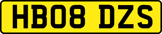 HB08DZS