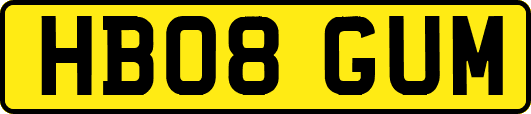 HB08GUM