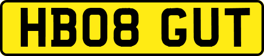 HB08GUT