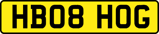HB08HOG