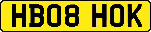 HB08HOK