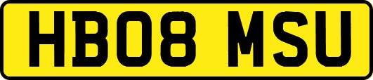 HB08MSU