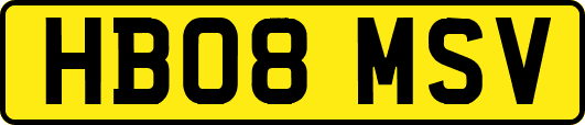 HB08MSV