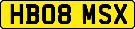 HB08MSX