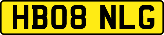 HB08NLG