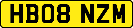 HB08NZM