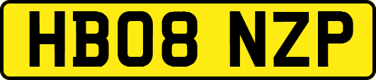 HB08NZP