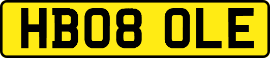 HB08OLE