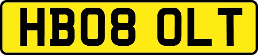 HB08OLT