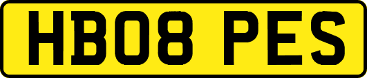 HB08PES